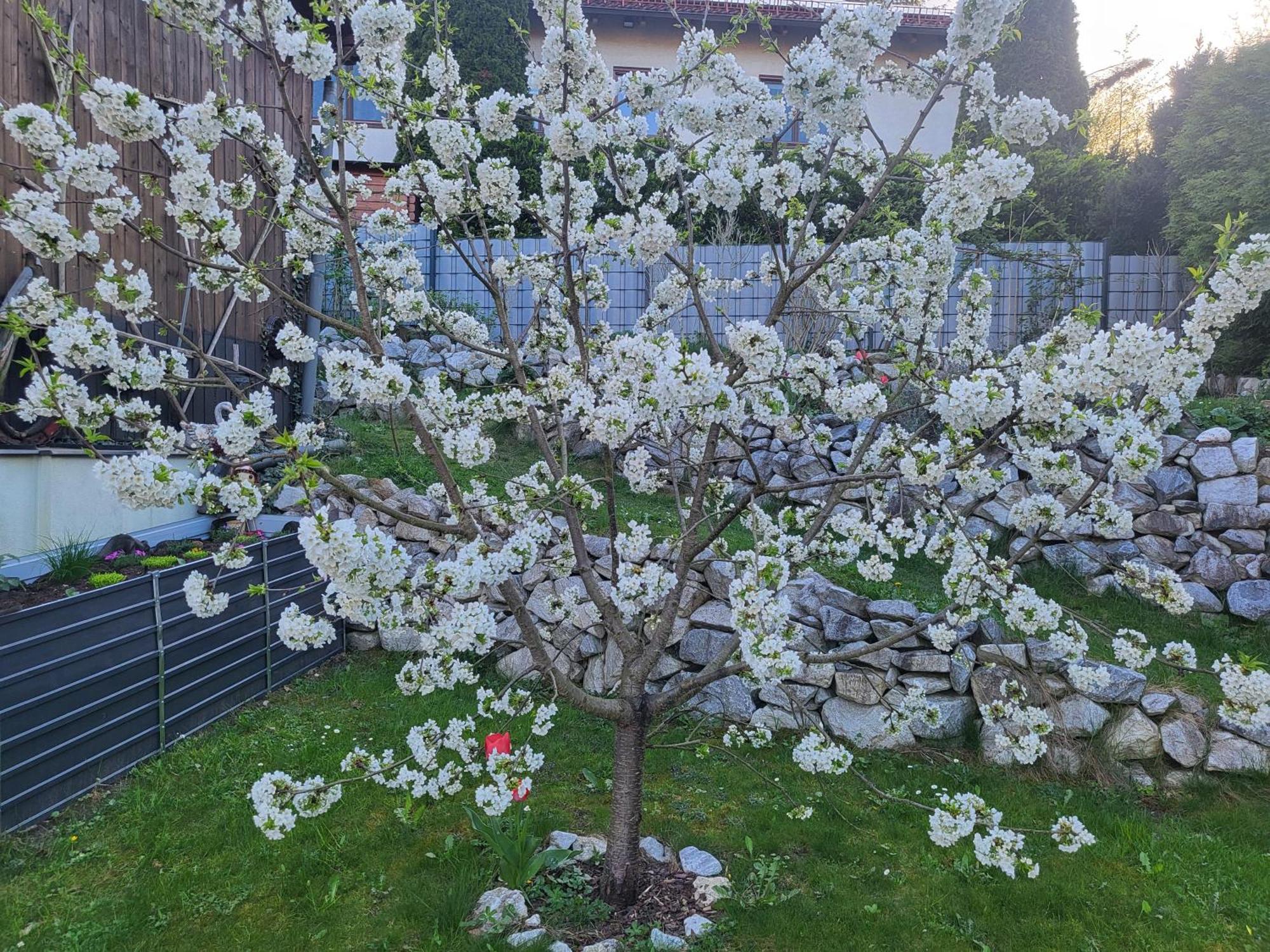 Appartement Purzel Mauerbach Εξωτερικό φωτογραφία